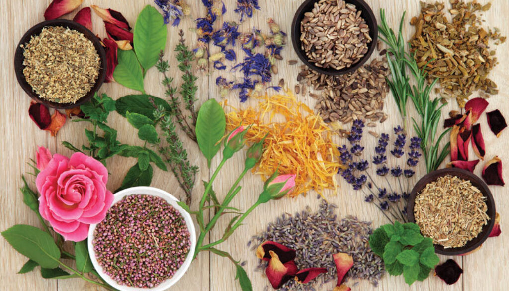 herbal medicine for womens health