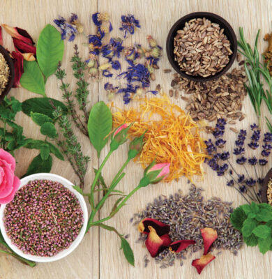 herbal medicine for womens health