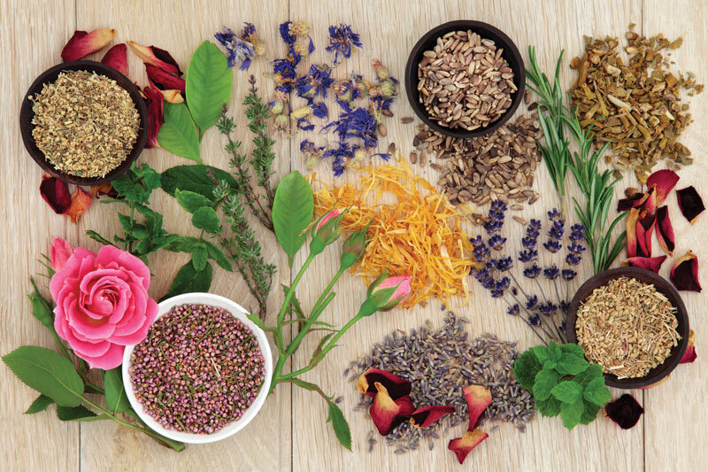 herbal medicine for womens health